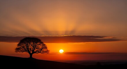 Silhouette of a tree against a vibrant orange sunset sky with sun rays