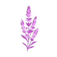 Fototapeta premium A_Simple_flat_2D_icon_lavender_sprig_isolated_on_a_white