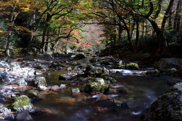 小田深山渓谷　秋の川　（愛媛県　内子町）