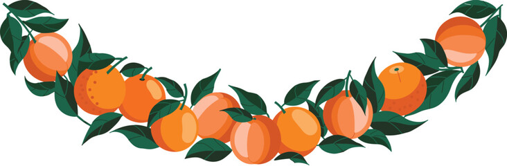Vibrant Semicircle Orange Fruit Wreath Vector Illustration, Featuring Fresh Citrus, Ripe Oranges, and Dark Green Leaves, Ideal for Summer Design, Invitations, and Natural Product Packaging.