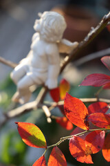 紅葉したブルーベリーの葉と天使