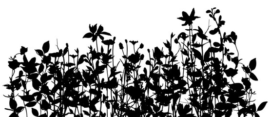 Silhouettes of summer- glade. Black basis for design on white background
