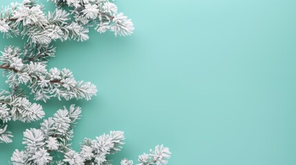 Minimalist winter aesthetic  frosted conifer branches against a soft turquoise background