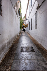 Old typical narrow street in Cordoba with old buildings with white walls decorated with colorful...