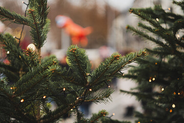 Christmas tree branches with glowing fairy lights. Close up, exterior shot, shallow depth of field, no people