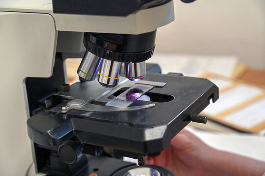 Optical microscope with a specimen slide in place. Instrument in laboratory. Microscopes lenses. Scientific research using an optical microscope. - Powered by Adobe