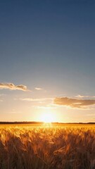Fototapeta premium Wheat field landscape at sunset with dramatic sky, golden hour agriculture harvest background, vertical 9:16 background for social media stories