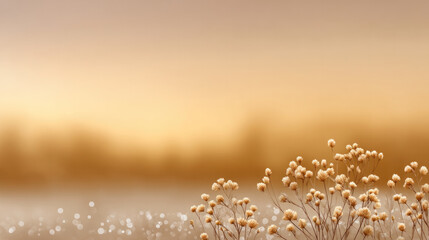 Fototapeta premium Soft cream gold sunset gradient with delicate wildflowers in foreground, dreamy bokeh effect, peaceful and tranquil mood