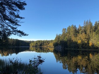 lake in autumn