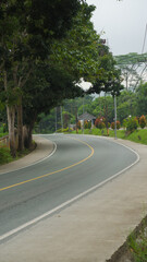 Curving Rural Road Surrounded by Trees and Lush Greenery