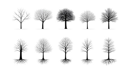 A collection of ten diverse graphic illust ns of bare deciduous trees during winter each featuring prominent root systems and isolated on a white background