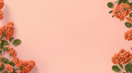 Soft pink background adorned with clusters of vibrant orange flowers and green leaves arranged symmetrically,