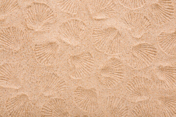 Pattern of sea shell shape prints on dry light brown sand background. Closeup. Top down view.