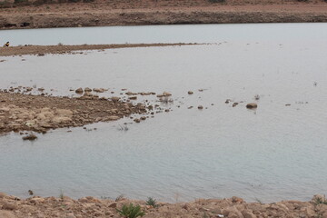 Errachidia Lake, Al-Hassan Addakhil Lake in Morocco