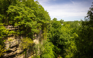 Obraz premium trees in the mountains