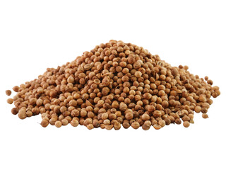 Coriander Seeds Cutout