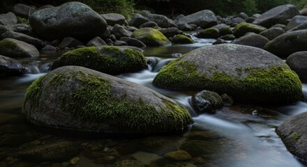 Naklejka premium River stones, mossy, flowing water