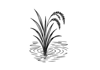 Rice Plant hand drawn simple sketch vector illustration