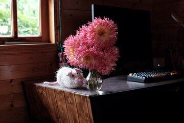 Pink Dahlia Flowers in Vase with Knitted Wool Mouse by a Wooden Window in Dalat, Vietnam