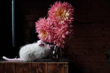 Pink Dahlia Flowers in Vase with Knitted Wool Mouse by a Wooden Window in Dalat, Vietnam