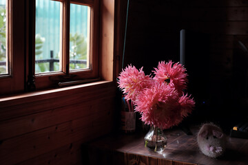 Pink Dahlia Flowers in Vase with Knitted Wool Mouse by a Wooden Window in Dalat, Vietnam