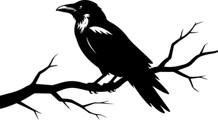 Obraz premium A raven sitting on a bare tree branch silhouette vector illustration