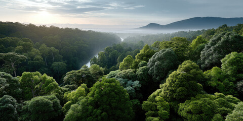 Aerial view dense tropical rainforest with lush green canopy, winding river, misty morning, mountain background, serene atmosphere