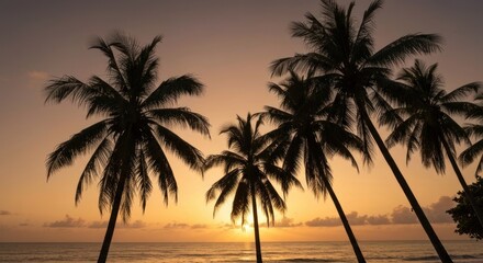 Silhouetted palm trees frame a golden sunset over the ocean