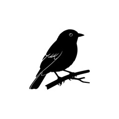 Obraz premium Small songbird silhouette vector illustration on branch: minimalist black graphic design element for nature and freedom themes