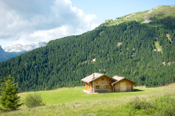 Small rustic wooden mountain cabin in green meadow overlooking a spruce forest in summer in Val Gardena, South Tyrol in the Italian Dolomites on a sunny summer day