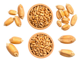 Golden wheat grains in bowls and piles against a dark background
