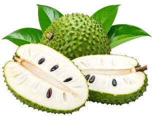 Green spiky soursop fruit, whole & two halves, white flesh & seeds