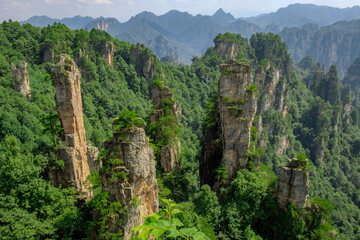 Lush forest and stone karst at the Avatar Mountains Zhangjiajie National Forest Park
