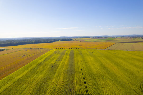 rural landscape with a field and blue sky