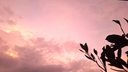 nice cloud photos as backgrounds, design elements