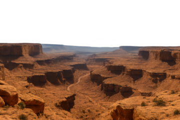 Desert canyon landscape with winding riverbed creating textured red rock formations under a clear sky, transparent background