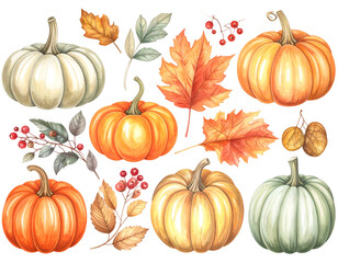 Autumn harvest watercolor collection of pumpkins, leaves, berries
