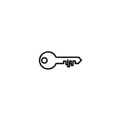Digital Security Key Icon