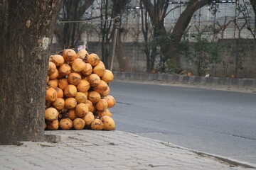 Pile of coconut kept for sale by the side of a road with natural light. Tender coconut selling