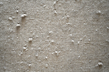 Dirty old rug or carpet with cat scratching and lots of dust on it. Pulled threads rug or carpet repair concept.