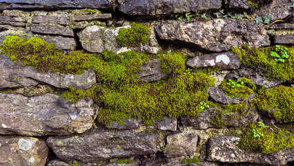 Close-up of a weathered stone wall covered in vibrant green moss