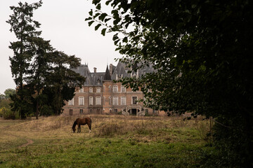 Obraz premium Grazing Horse in Front of a Neglected French Château with Grand Staircase and Moody Overcast Sky