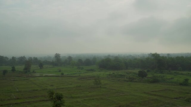 Cinematic wide shot of Haridwar outskirts with misty fields and Sal forest backdrop (Shorea robusta)