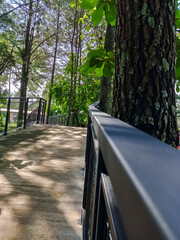 Modern park bridge and stone stairs with metal mesh railings