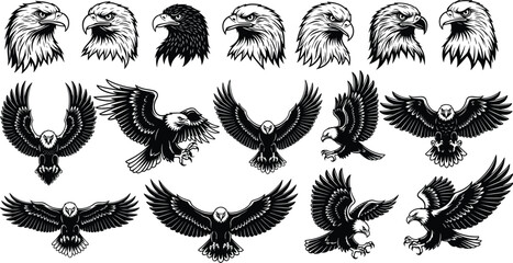Fierce Eagle Heads and Flying Poses Black Vector Set: Including Bald Eagle, Falcon, and Hawk Silhouettes for Mascot, USA Patriotism, Military, and Wildlife Logo Design Elements.