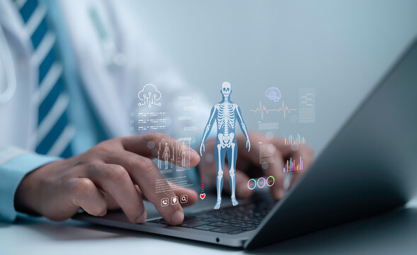 Doctor using a laptop with digital anatomy data and medical analytics showcases advanced healthcare technology, smart diagnostics and real-time patient insights in a modern clinical system
