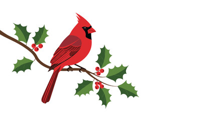 Vibrant red cardinal bird perched on a holly branch with green leaves and red berries against a white background.