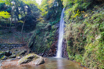 秋の養老の滝（岐阜県）