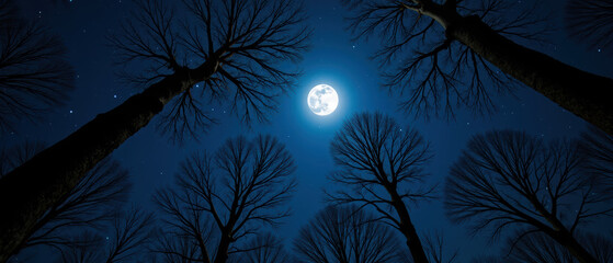 Serene night scene featuring tall trees silhouetted against bright full moon, surrounded by twinkling stars. atmosphere evokes tranquility