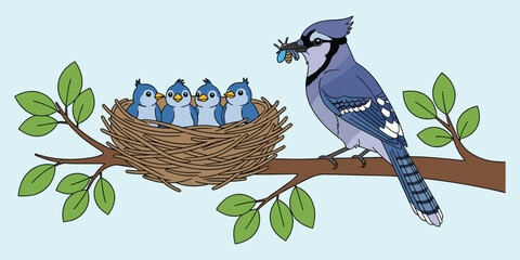 Blue jay feeding babies, bird nest scene, parental care, tree branch, cartoon wildlife, nature moment, flat vector illustration © MdNaimurRahaman
